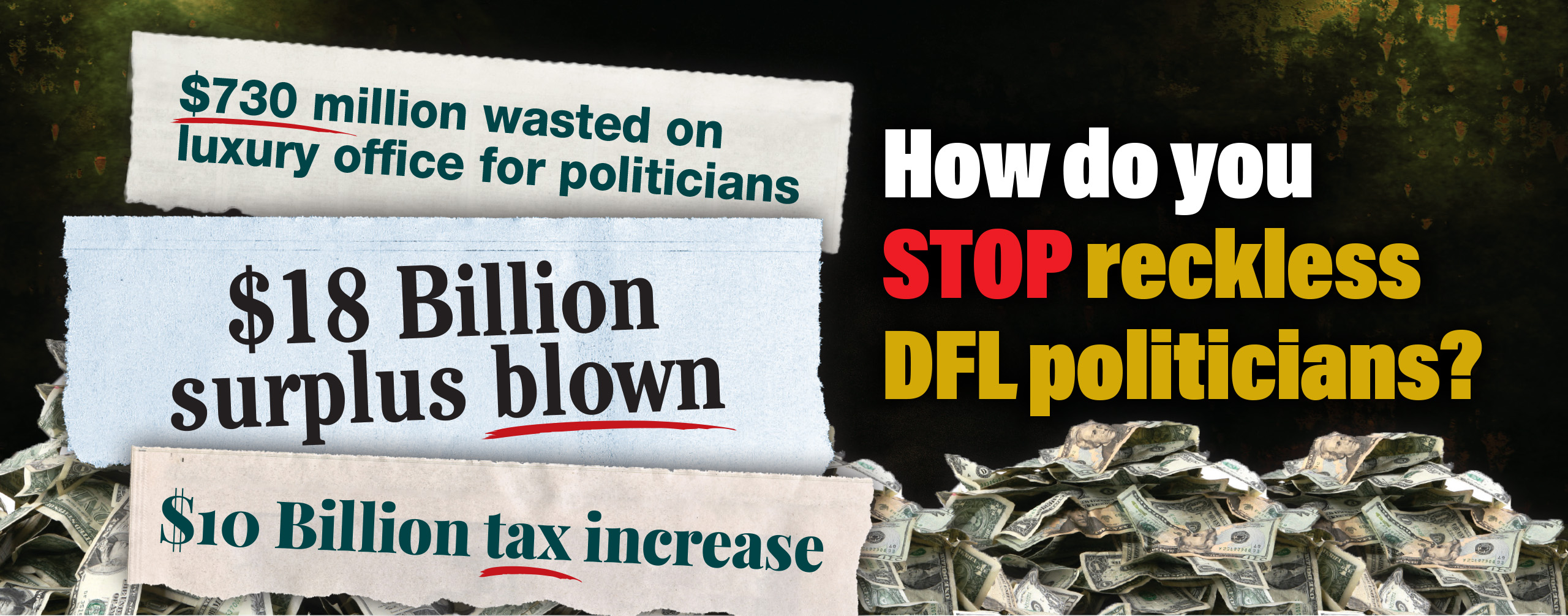 How do you STOP reckless DFL Politicians?